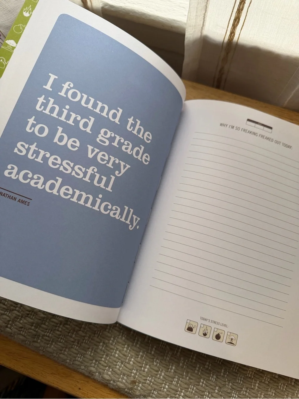 I'm So Freaking Freaked Out Gray Journal with Yellow Text
